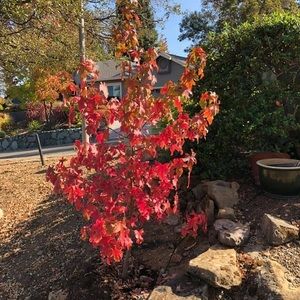 Meet your Posher, Jean